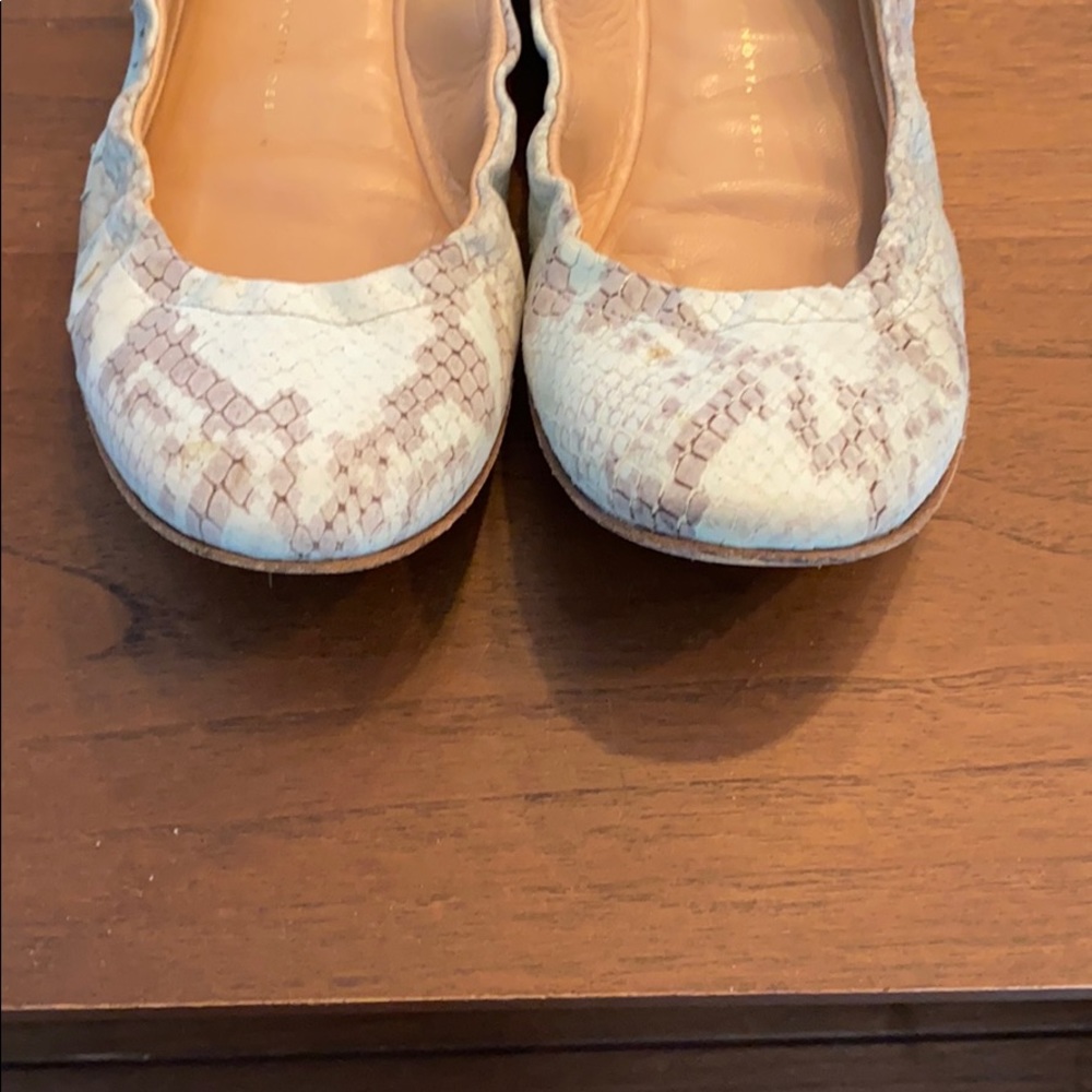 Giuseppe Zanotti Leather Animal Print Ballet flats 🥿 - Picture 5 of 6